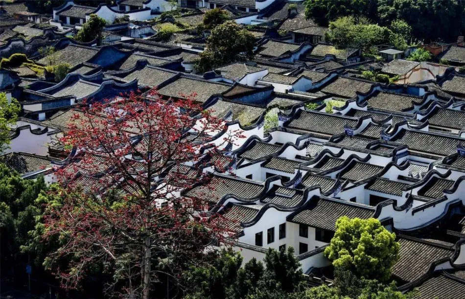 福州福州移动宽带